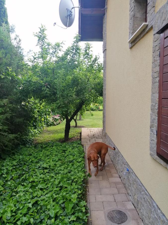 Duzzogó Vendégház Agárd Gárdony Esterno foto
